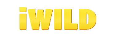 Iwild Casino